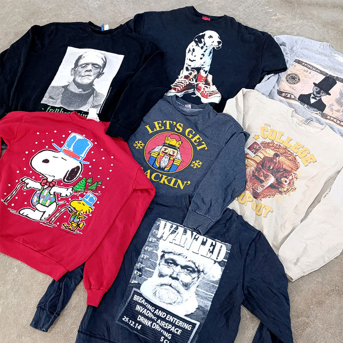 Character Sweatshirts